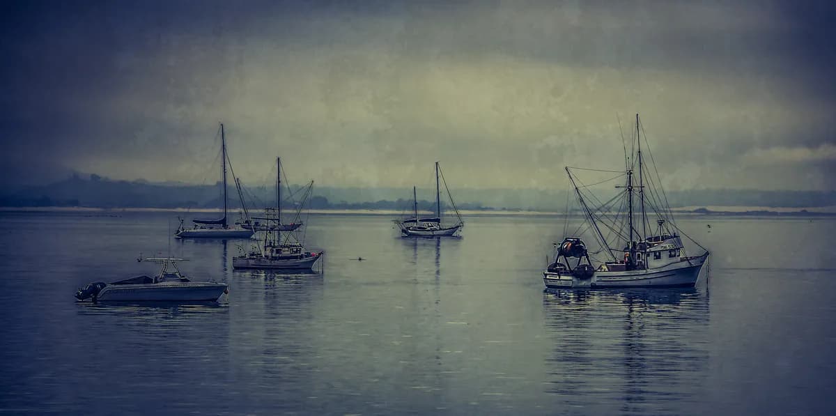 Oljeutsläpp i Sverige och Mexiko utlöser kriser med motstridiga uppgifter