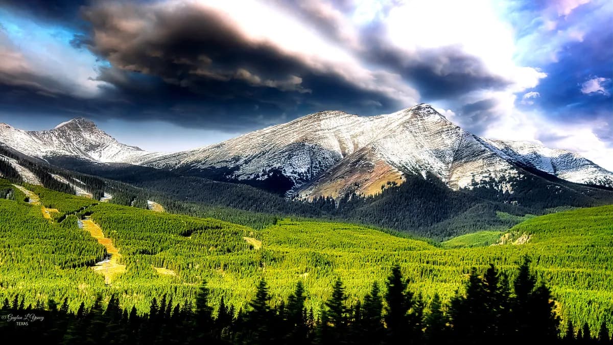 Nika Prevc vinner 38:e världscupen och sätter nytt rekord