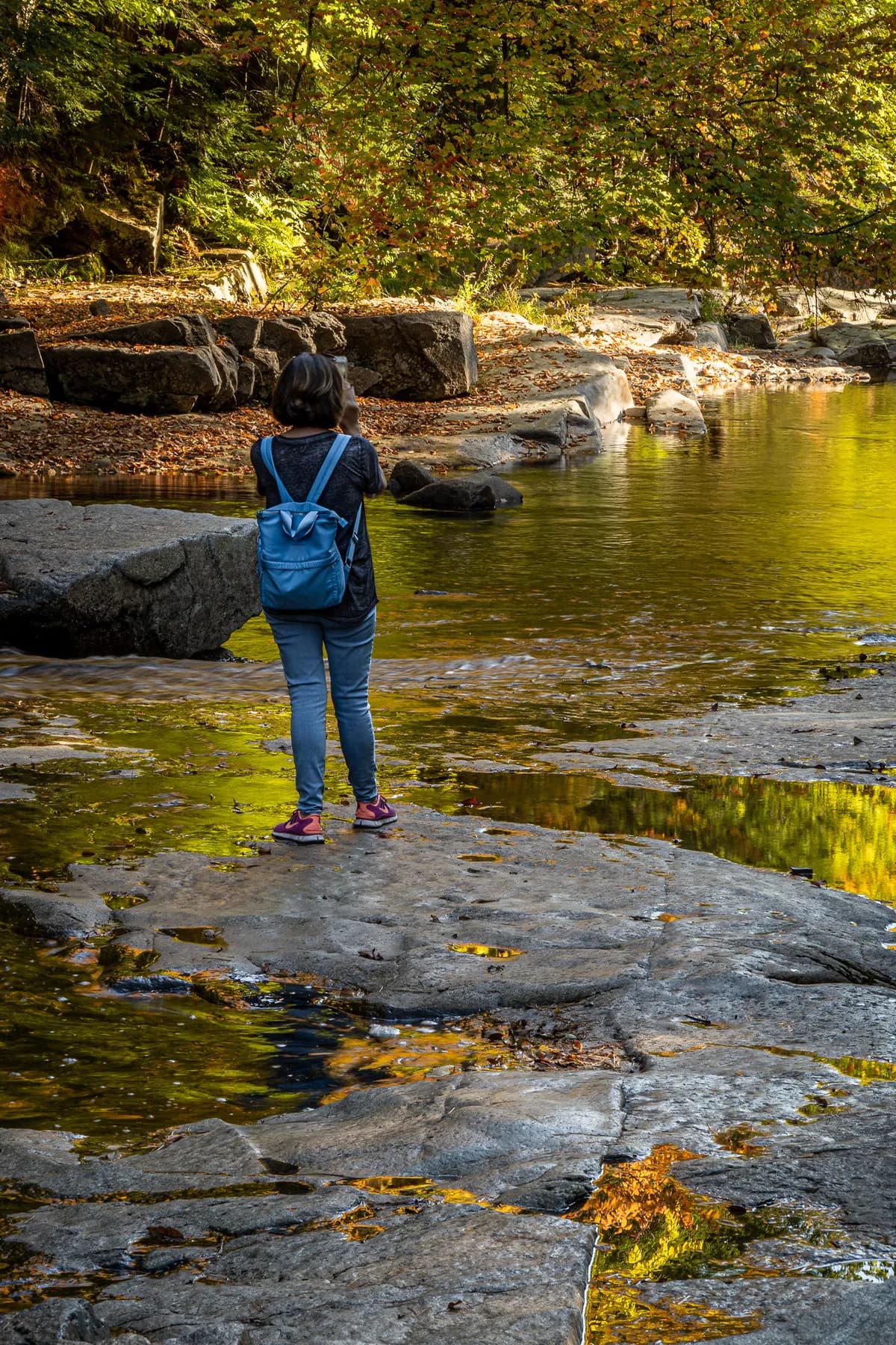 Roland Aaltos naturfotoutställning öppnar på Fotoparken