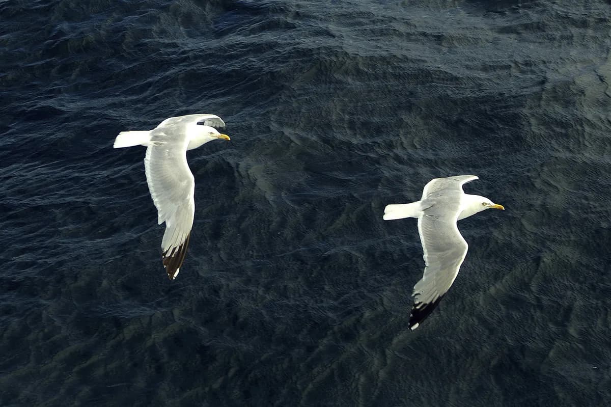 BBC Breakfast: överraskande återkomst, tekniskt fel och lättsamma stunder