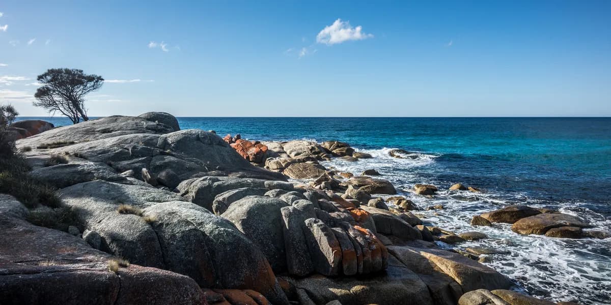 England öppnar 2 700 mil lång kuststig tillägnad kung Charles III nästa vecka