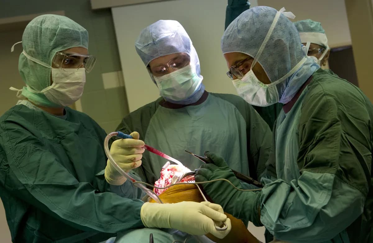 Örebro-backen Olivia Crona rehabiliterar efter andra korsbandsskadan