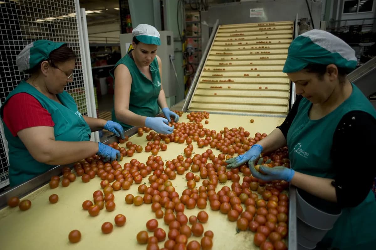 Pensionärer återvänder till arbete när ekonomiska förväntningar inte infrias