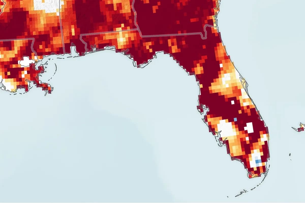 Florida drabbas av utbredd extrem torka som hotar vatten och ekosystem