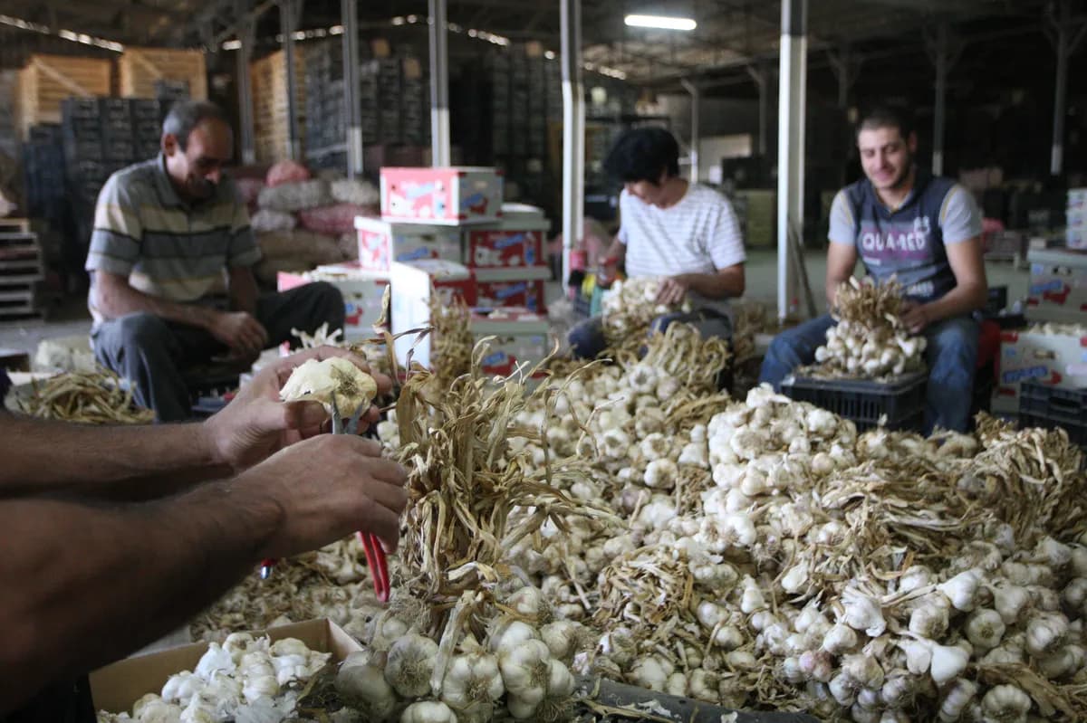 Grekiska försäkrings- och banksektorer visar stark tillväxt 2025