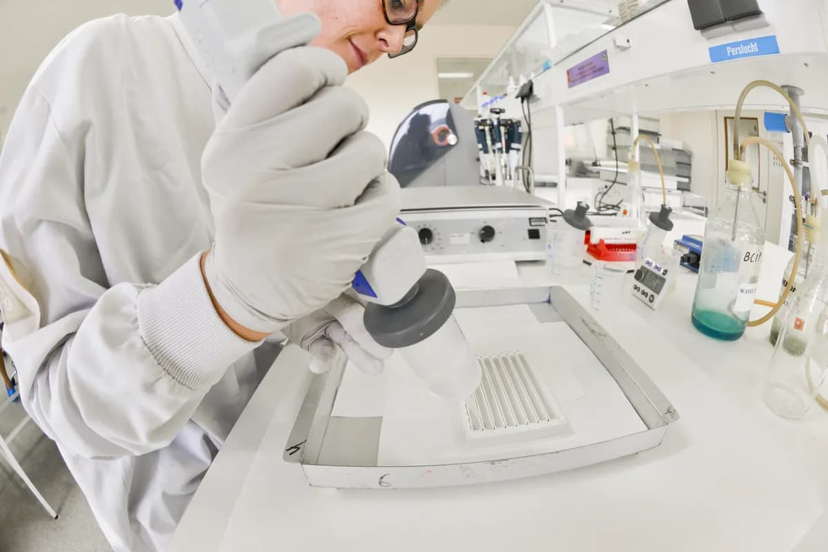 Studie: Preferentiell parning formade neandertalare-människa DNA-blandning