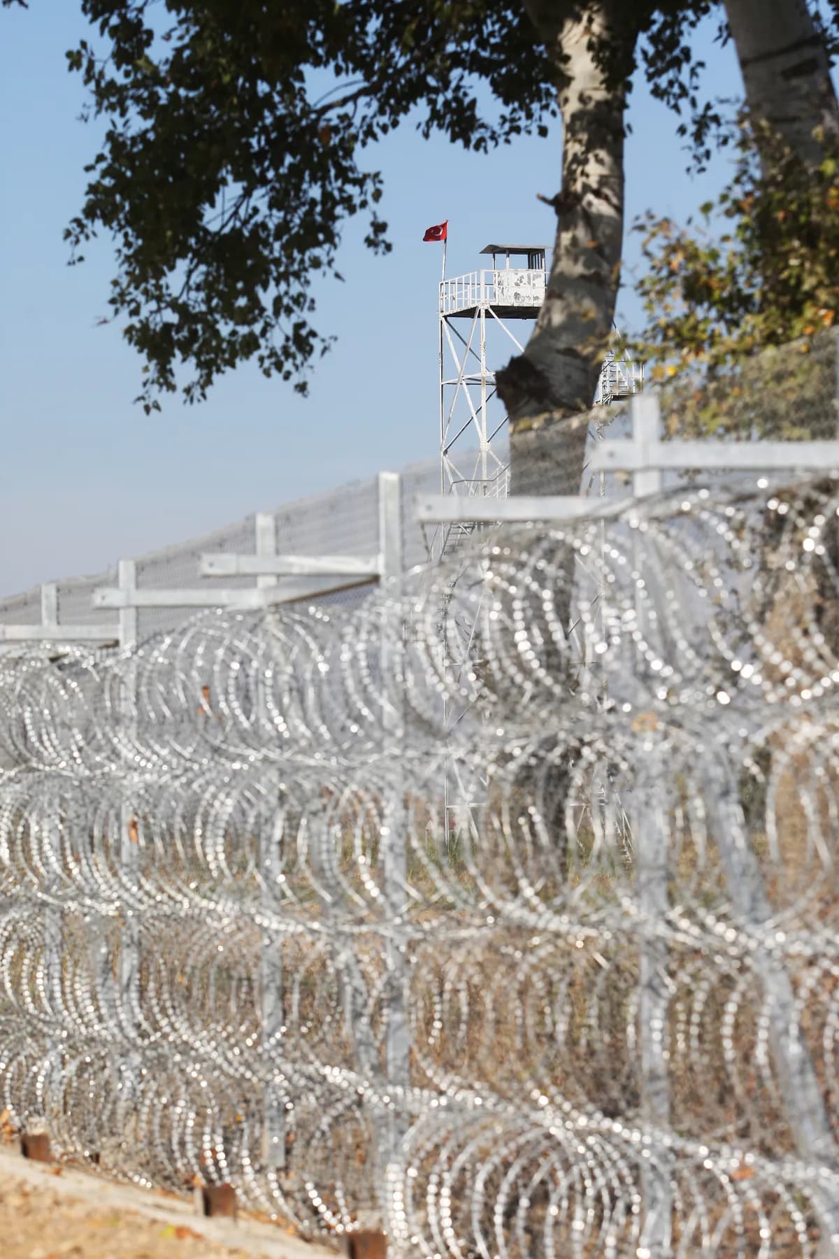 EU:s biometriska gränssystem väcker Brexit-anklagelser och reskaos