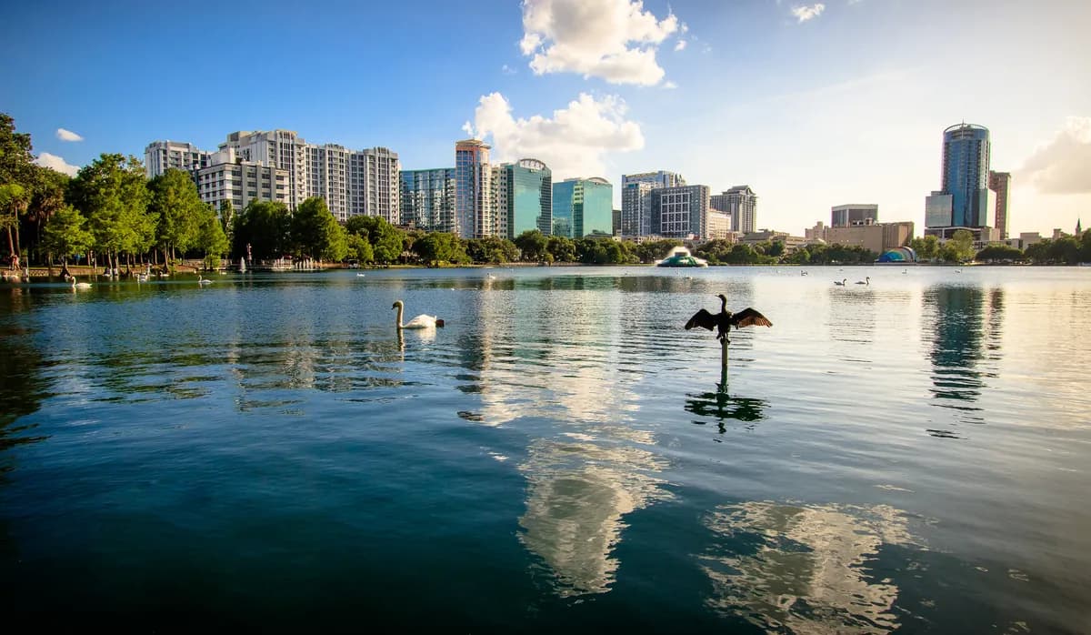 Storskarvar ökar kraftigt i Norrköping – skyddsjakt beviljad