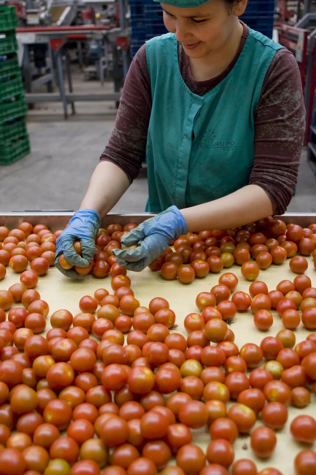 Arbetsdomstolar beviljar ersättningar i uppsägnings- och visselblåsarmål