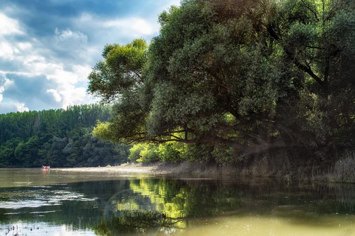 Canceröverlevaren Vicky Keep firar 10-årsjubileum med svensk kanotutmaning