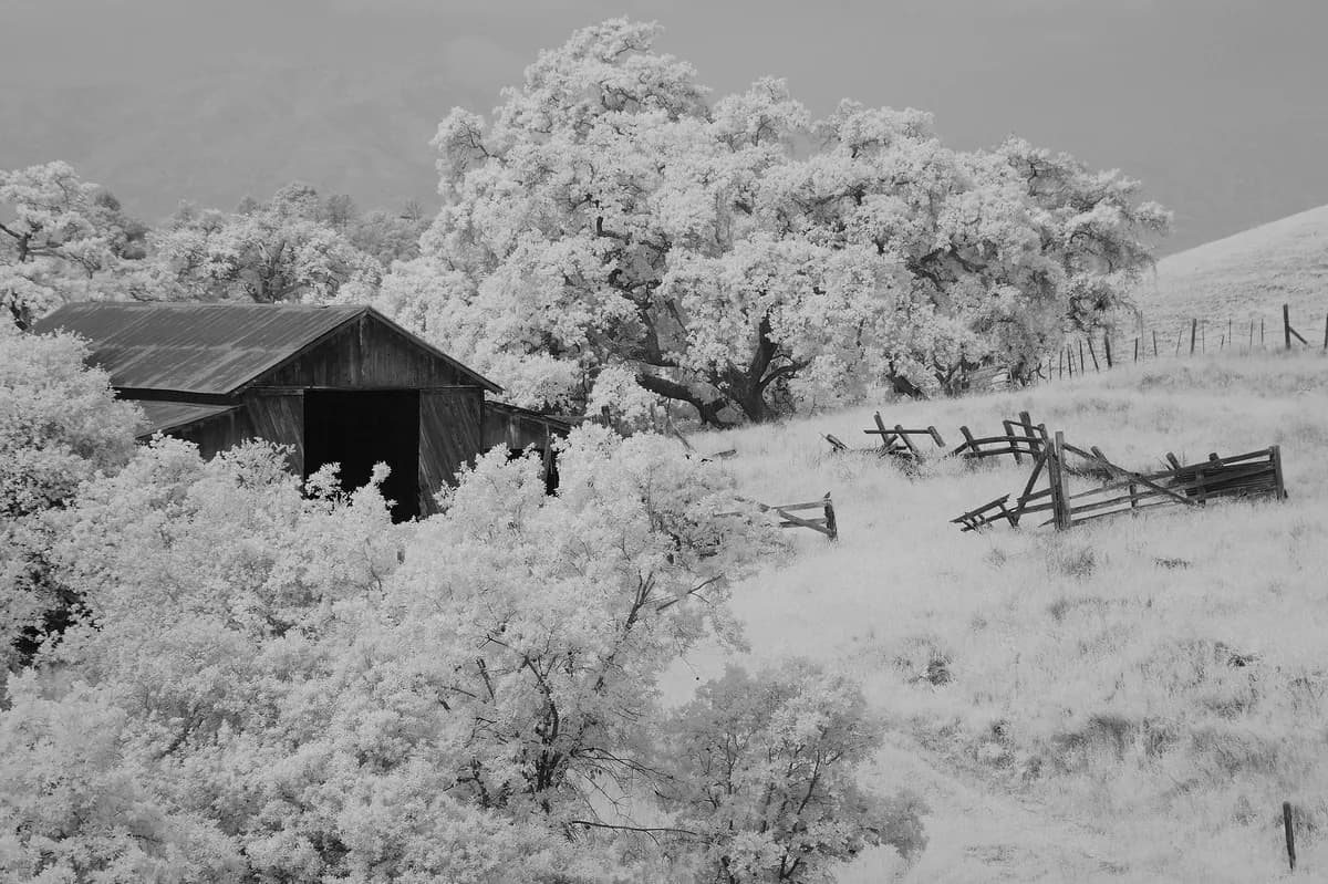 Jordskred drabbar gård på Hisingen – lador och fordon släpades med