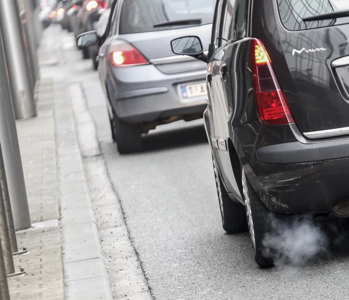 Intensivodlingar kopplade till ammoniakföroreningar och hälsorisker