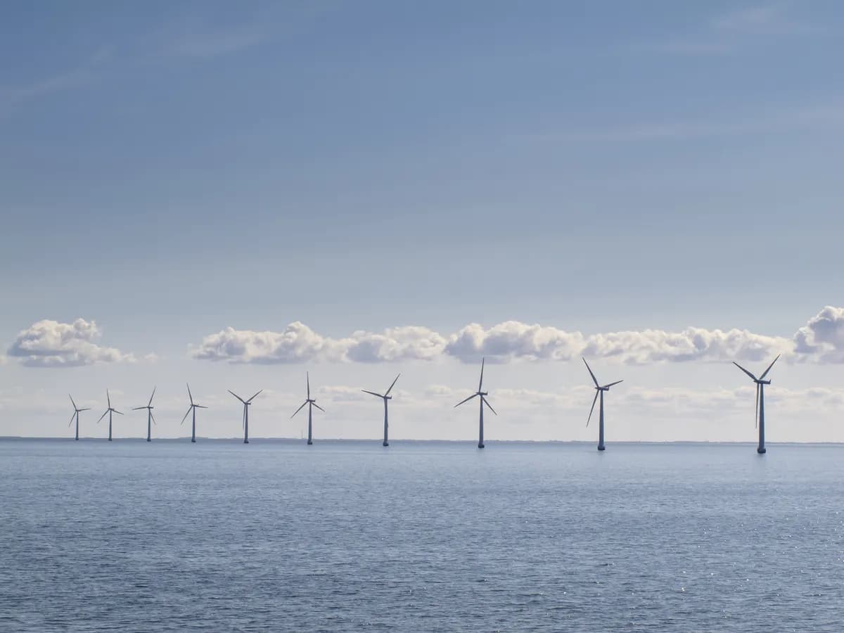 Norge utser havbrugszoner till havs, debatt om hjärtvård flammar upp