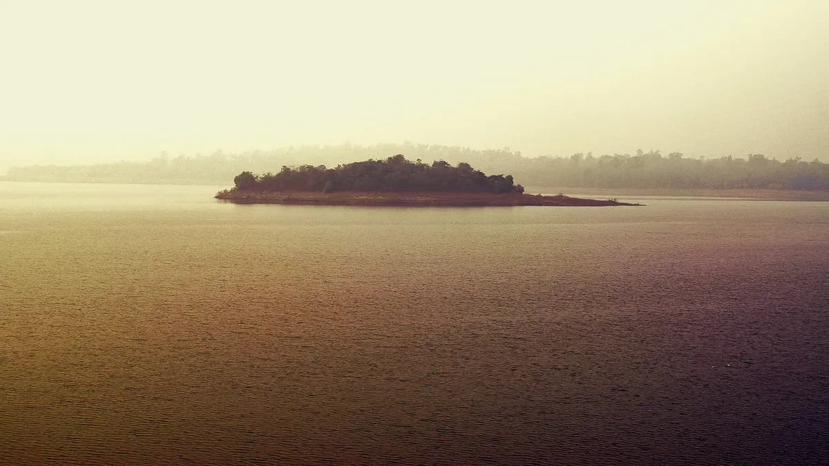 Nigel Farages Chagos-resa finansierad av kryptomiljardärdonator