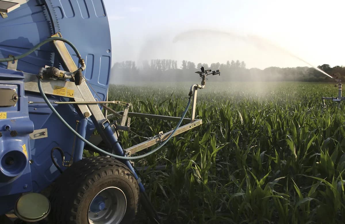 Sveriges bevattningsbehov kan fördubblas till 2100 på grund av