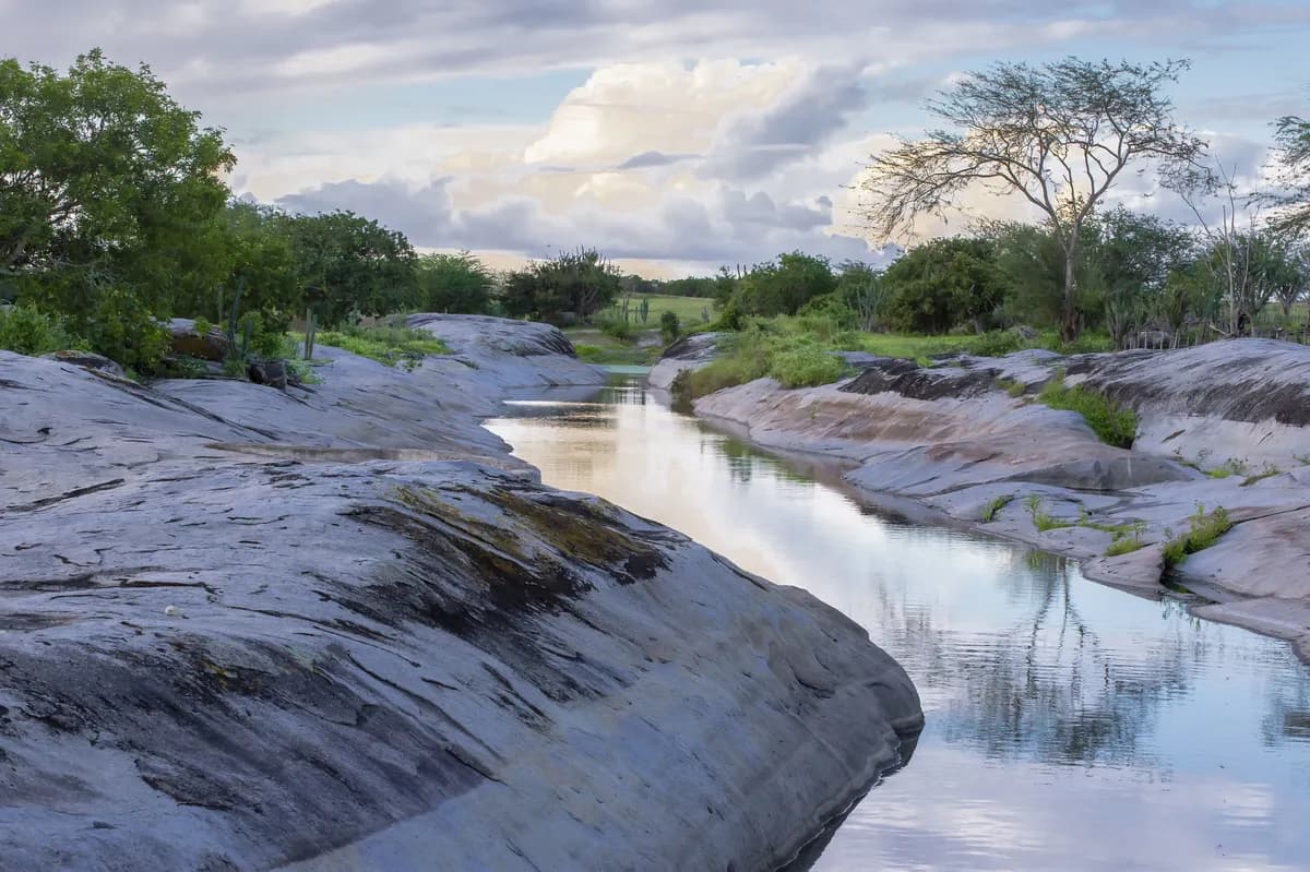 Vattenfall kritiseras för plan att upphäva naturreservat för kärnkraft på Väröhalvön