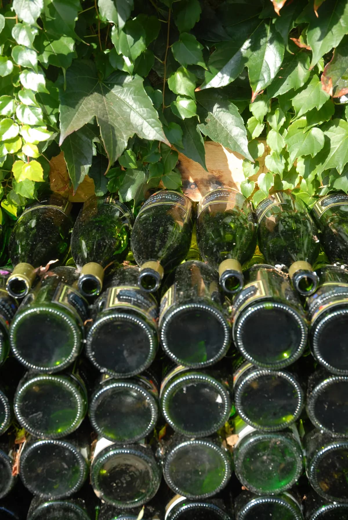 Europeiska dryckesföretag i Indien söker importtullbefrielse