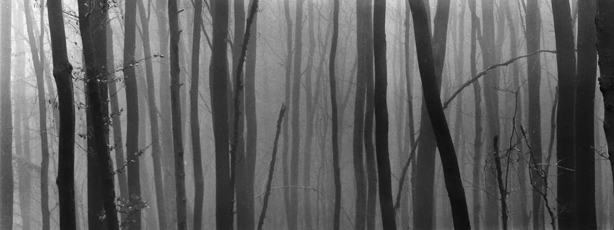 Läckande kräftodling hotar Kilaälven i sex år