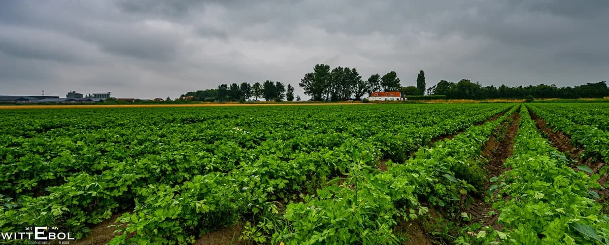 Kelvin Fletcher byter skådespeleri mot jordbruk med familjen