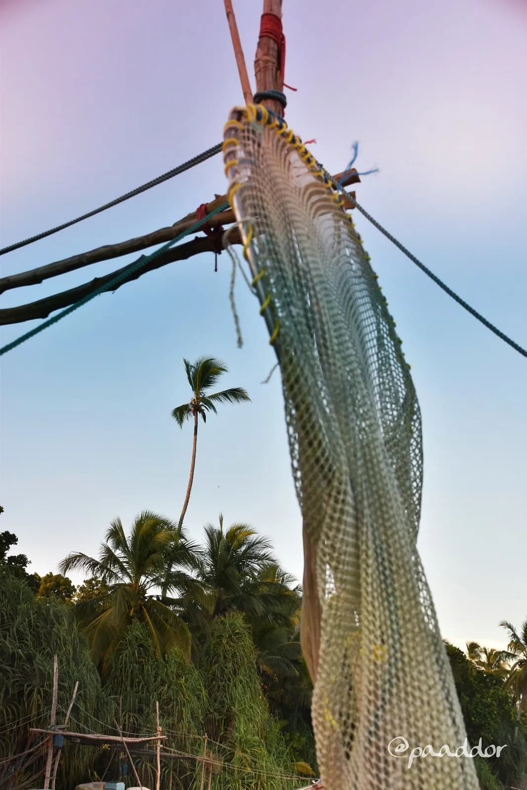 Filippinerna anklagar Kina för cyanidutsläpp vid Spratlyöarna