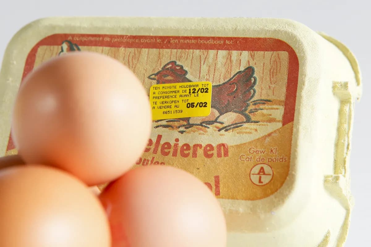 Periodkostnader tvingar brittiska kvinnor att dra ner på nödvändigheter, visar