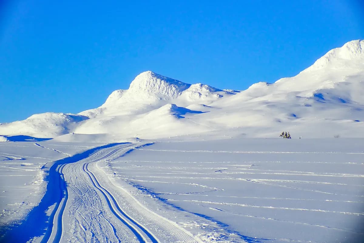 Alvar Myhlback to start in Ski Classics despite illness